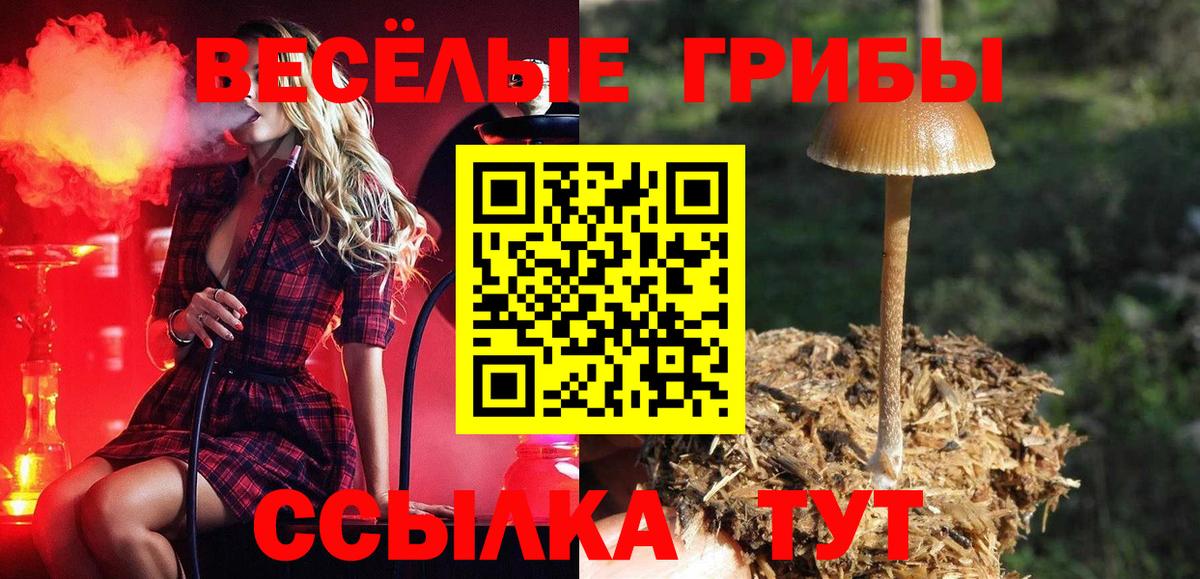 Галлюциногенные грибы Magic Shrooms Советский