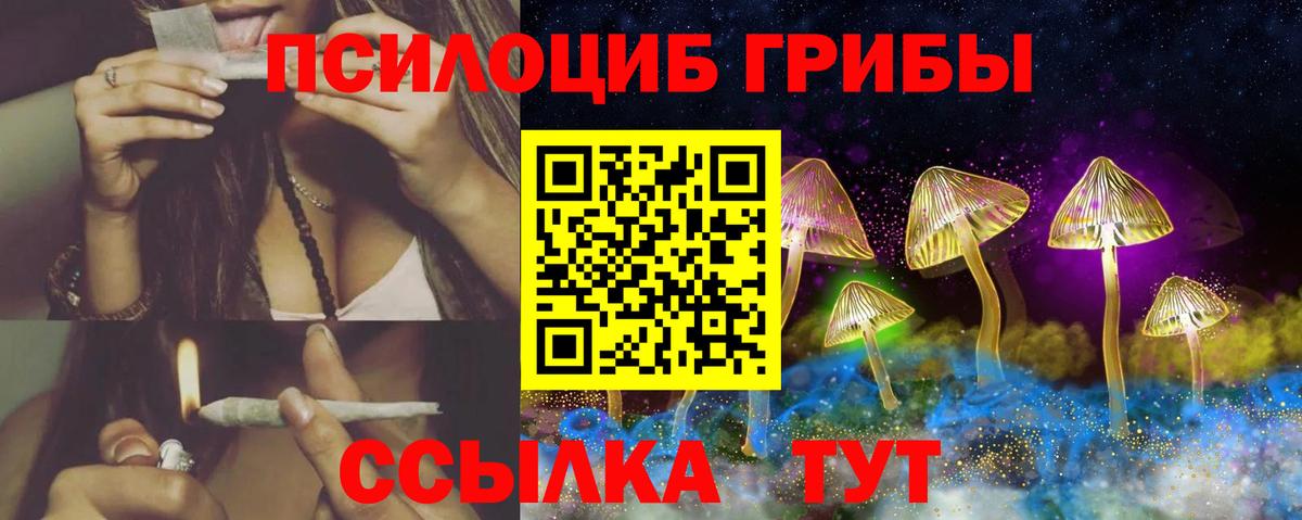 купить наркотик  Псилоцибиновые грибы Psilocybe  Вход с VPN  Советский 